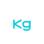Ikoon kg
